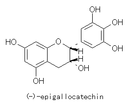 (-)-epigallocatechin