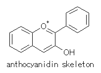 Anthocyanidin Skeleton