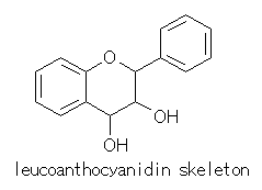 Leucoanthocyanidin Skeleton