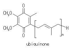 Ubiquinone(CoQ)